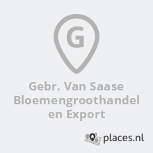 Gebr van Saase bloemen export